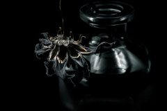 dark cosmo - detail