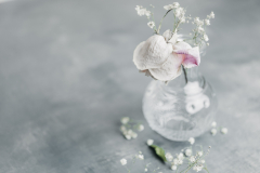 Sadies Rose