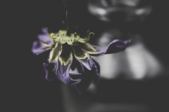 exhausted - detail