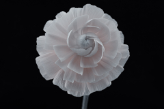 spiral