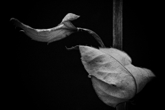 details