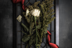 in memoriam