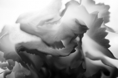inversion