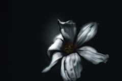 cosmic melancholy