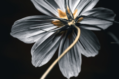 reaching