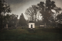 whispers in stone