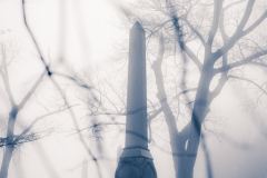 misty morning