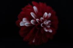 sphere ii