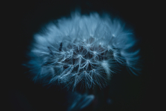 pale blue light