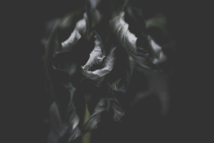 elsewhere