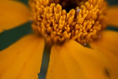 hide and seek 2