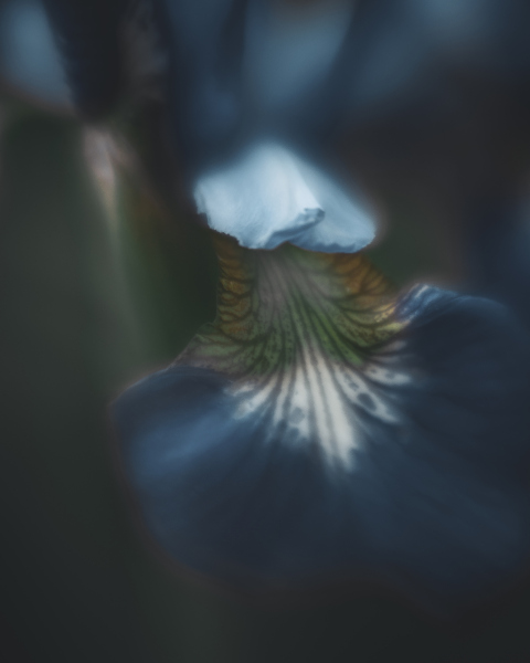 color shift 2
