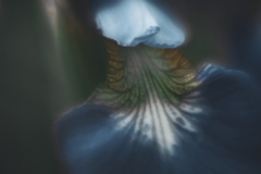 color shift 2