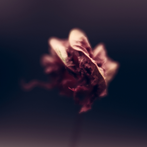 softly now