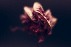 softly now