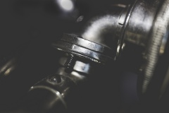 Claxtonola - detail 2