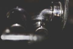 Claxtonola - detail 3
