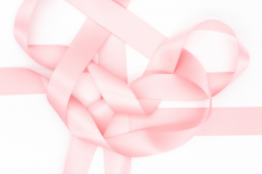rose unraveled