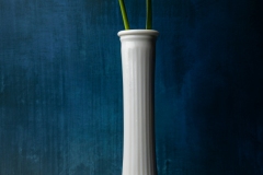 spring on blue