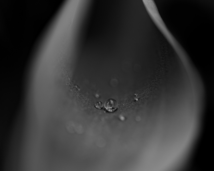 drops