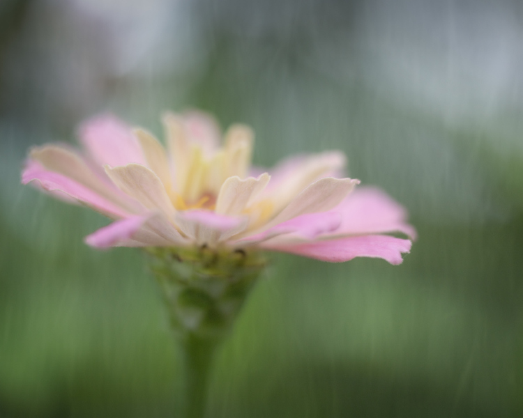 through the veil