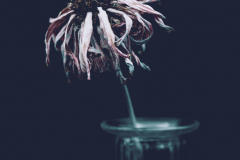 melancholy