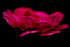 distortion
